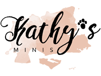 KathysMinisShop